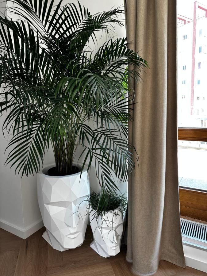 Luxury Penthouse At The Historical Centre With Free Parking Apartment Bratislava Ngoại thất bức ảnh